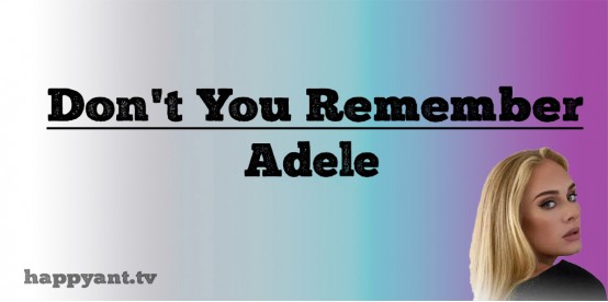 Don't You Remember - Adele (Lyrics)