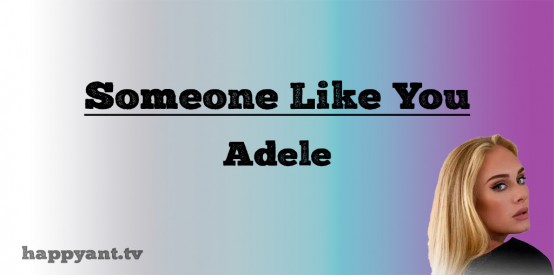 Someone Like You - Adele (Lyrics)