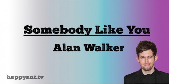 Somebody Like You - Alan Walker (Lyrics) Somebody Like You - Alan Walker (Lyrics)