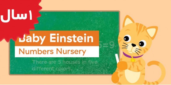 Baby Einstein. Counting To 5 Toddler