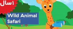 Baby Einstein.Safari Animals For Toddlers To Learn