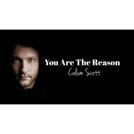 Calum Scott_You Are The Reason (with translation)