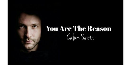 Calum Scott_You Are The Reason (with translation)