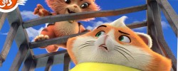 44 Cats - Cat Trapes (Full Episode)