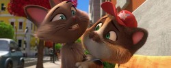 44 Cats - Gaby The Reported Cat (Full Episode)