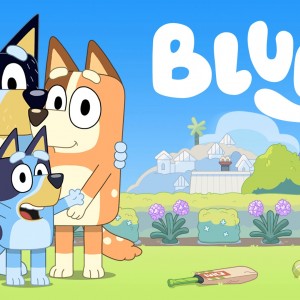 Introduction Of Popular Cartoon Bluey
