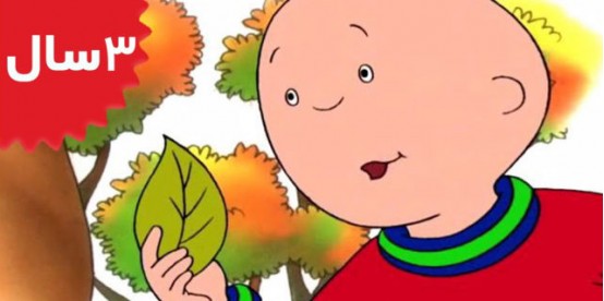 Caillou. Caillou Rakes the Leaves