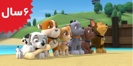 Paw Patrol. Pups Save a Walrus