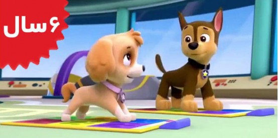 Paw Patrol. Pups and the Kitty-tastrophe