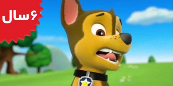 Paw Patrol. Pups Save a Toof