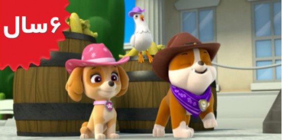 Paw Patrol. Pups Save a Hoedown