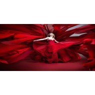 Lady in red_Chris de burgh (with translation)